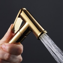 Bidee Tap Gold WC...